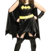 Rubies Womens Plus Size Batgirl Costume