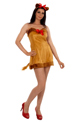 RG Costumes & Accessories Animals Lion Dress Set Costume