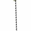 California Costumes Jester Skull Cane Accessory
