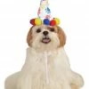 Rubies Pawty Animal Dog Hat Hats And Headwear