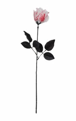 Bristol Novelty Single Bloody White Rose