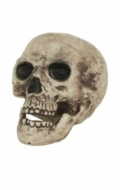 Bristol Novelty Skull Halloween Decoration